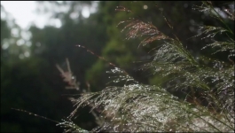 Alone Australia - Season 01 Episode 09